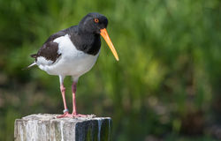 © Lauren Tucker Photography (38 of 82)