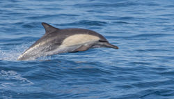 © Lauren Tucker Photography-756