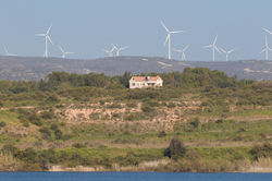 © Lauren Tucker Photography (459 of 273)