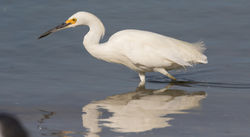 © Lauren Tucker Photography-782