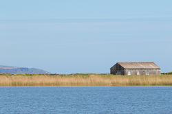 © Lauren Tucker Photography (64 of 178).