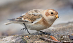 © Lauren Tucker Photography (152 of 159)