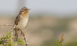 © Lauren Tucker Photography (95 of 248)