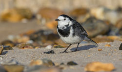 © Lauren Tucker Photography-70