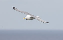 Â©_Lauren_Tucker_Photography-349