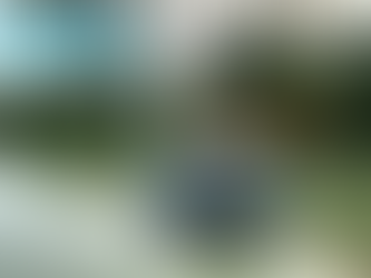 Thuyền đạt vịt là gì, ưu điểm và báo 