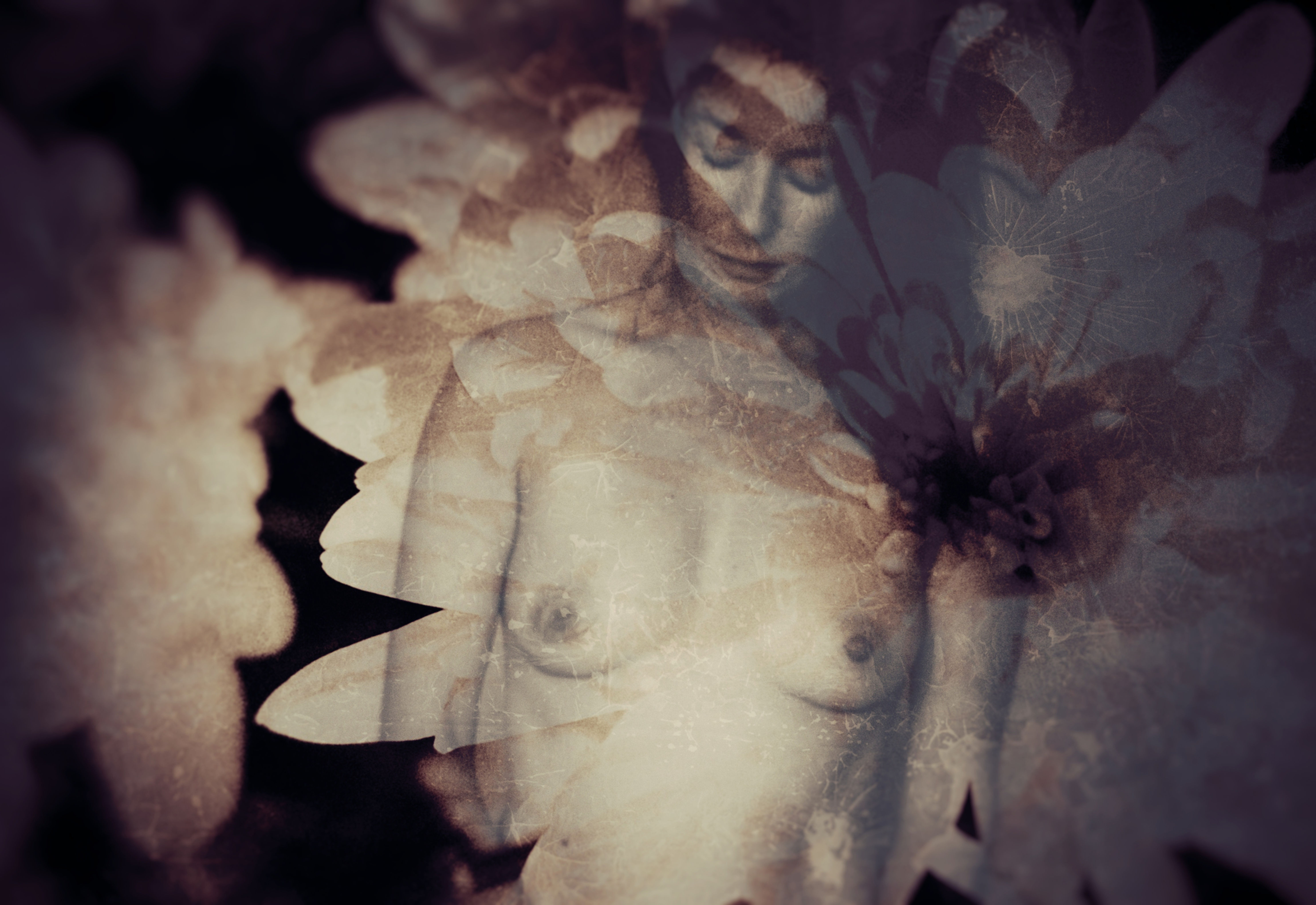 Série {Notre besoin de consolation}