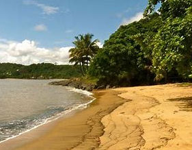 Imelyon en Guyane