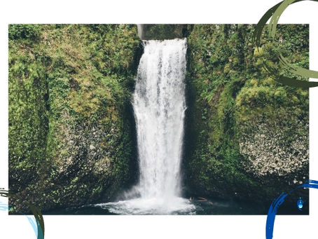 Diferencias entre productos biodegradables y ecológicos