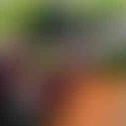 pollinator garden pittsburgh pa landscape