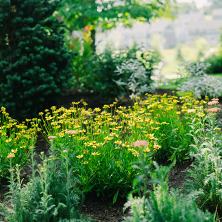 pollinator garden pittsburgh pa landscape
