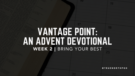 Vantage Point: An Advent Devotional - Week 2 | Bring Your Best