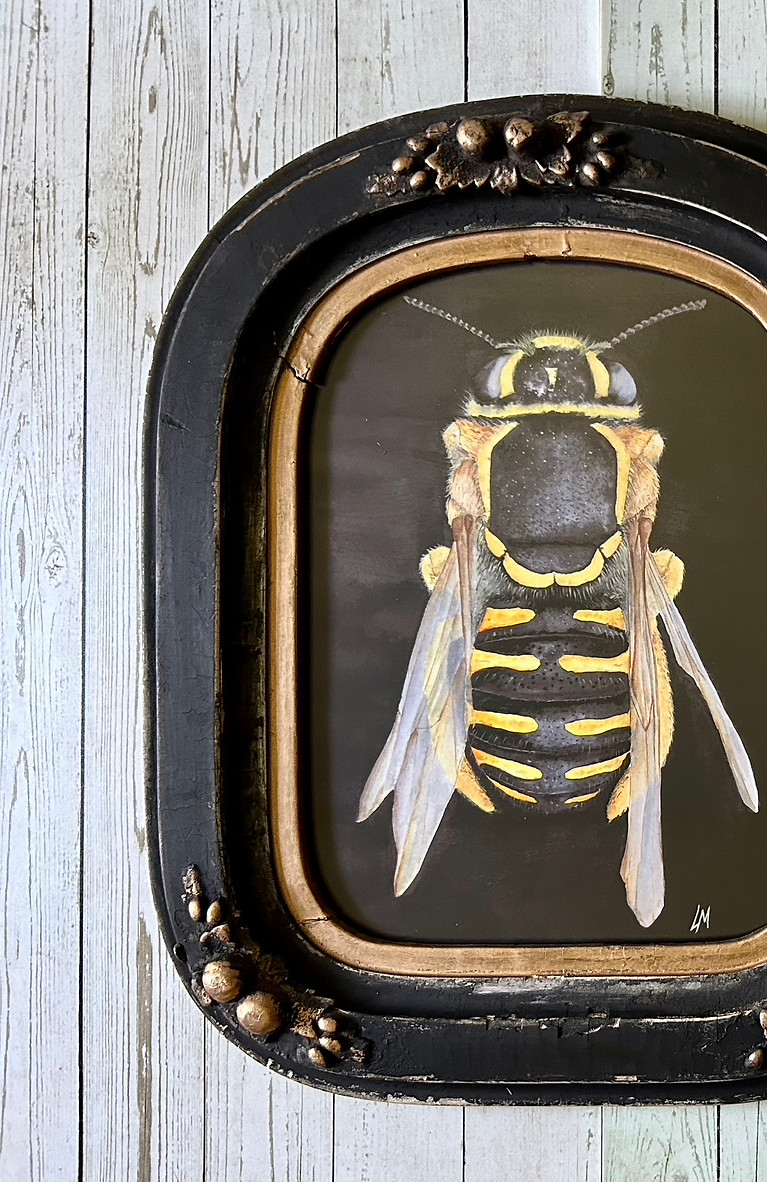 original watercolor painting of a bee in antique frame