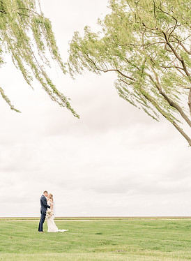 Wedding couple posing under a willow tree
