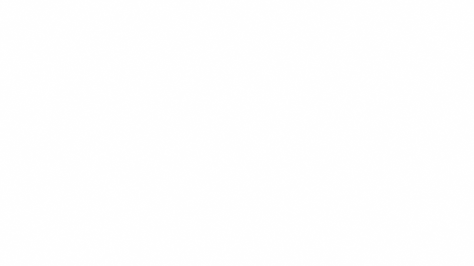 the virtual sidekick co. (2).png