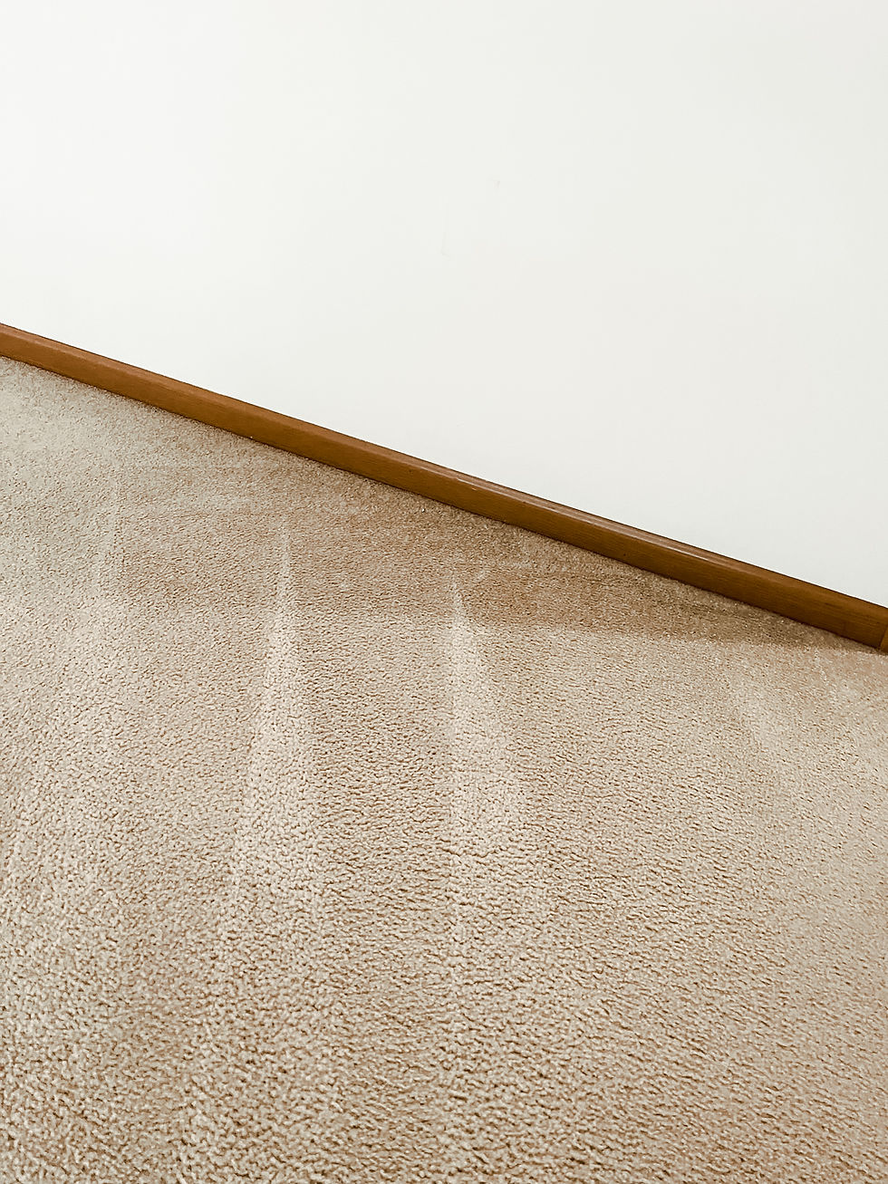 carpet stain removal iconic detailing carpet and upholstery