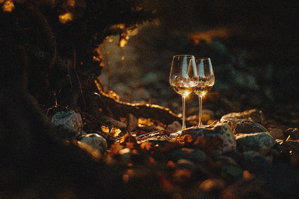 Cata Inframundo: Lo Esencial Vive Debajo