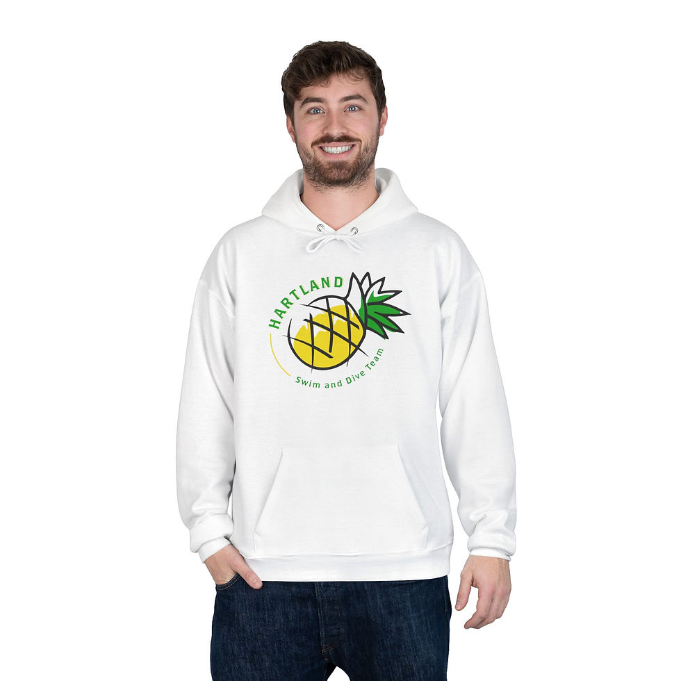 Thumbnail: HSDT Hoodie