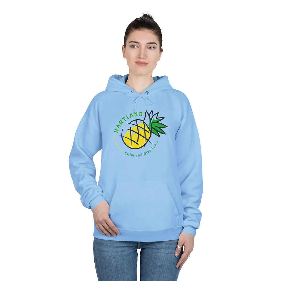 Thumbnail: HSDT Hoodie