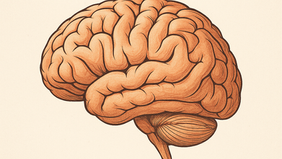 Negotiation: It's not you – it's your brain.