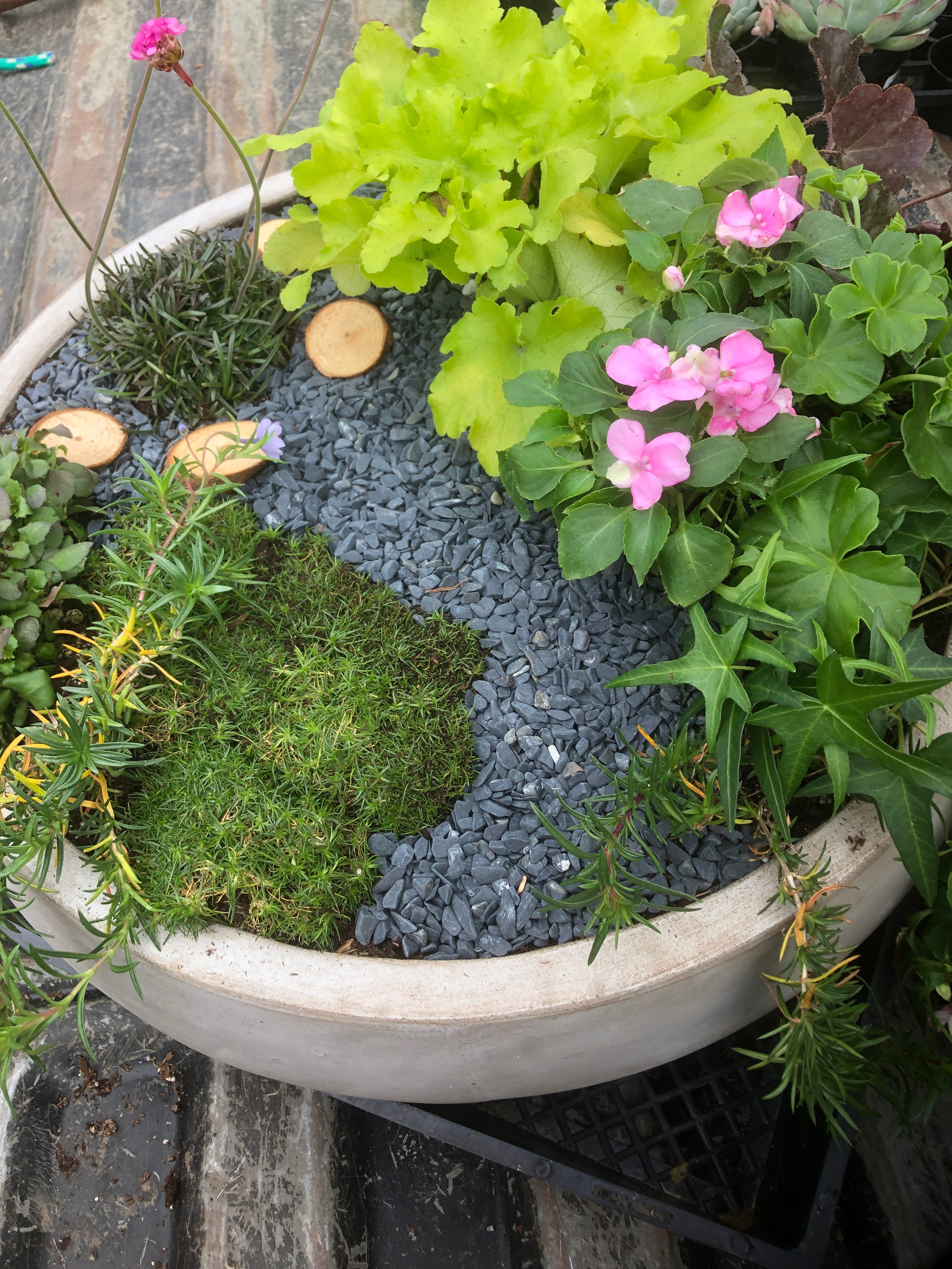 Fairy Garden