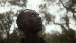 Refugee Week – from conflict to freedom