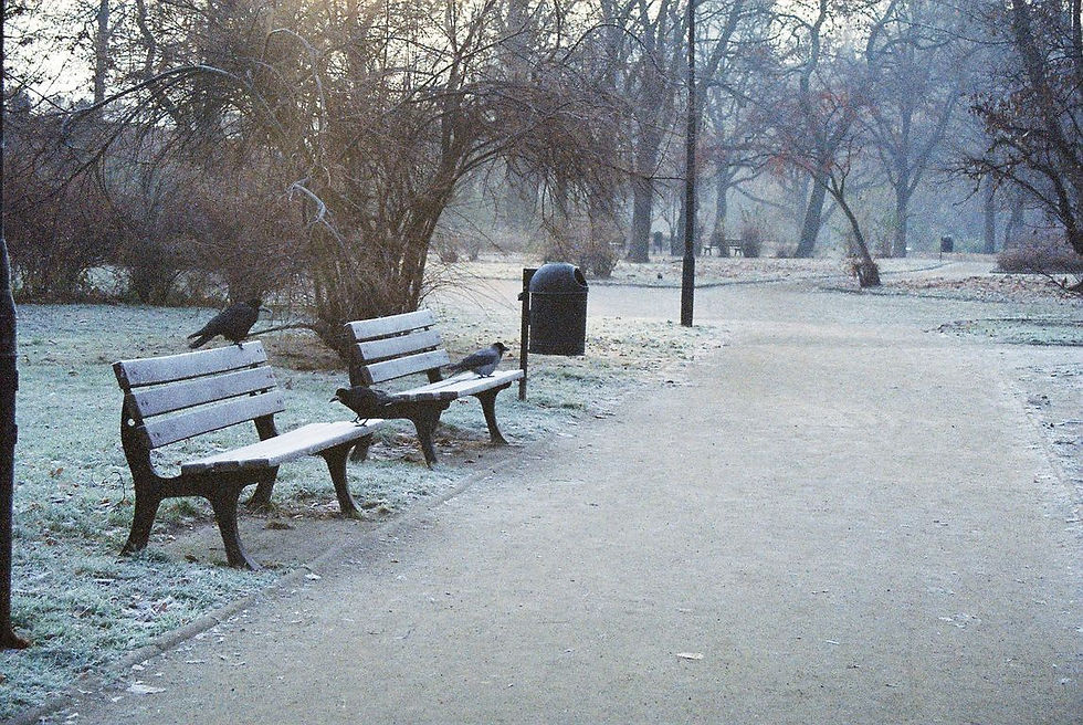 Park Tołpy, Wrocław, Polska