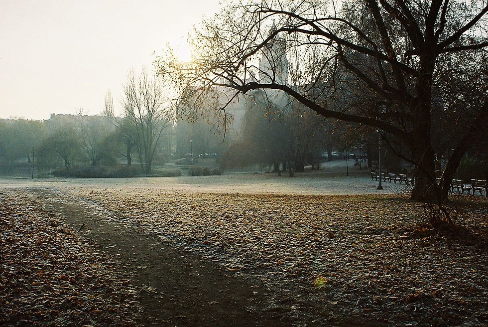 Park Tołpy, Wrocław, Polska