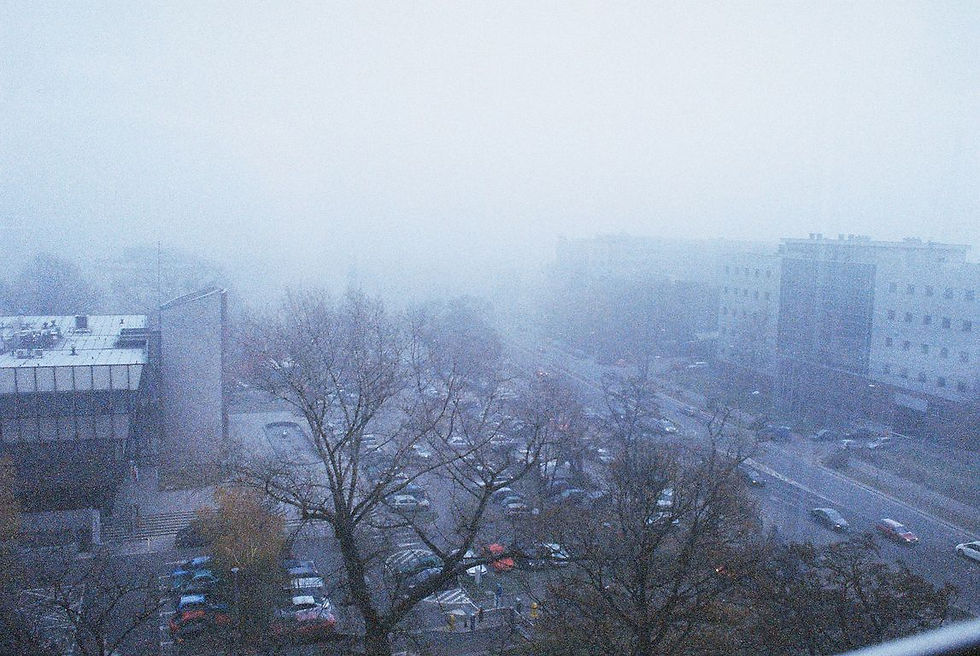 Dolmed, Wrocław, Polska