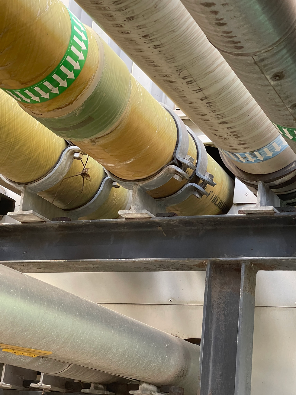 Pipe supports (pijpschoenen)
