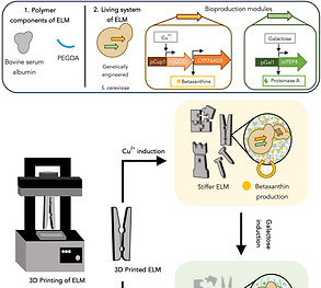 outline_bioplastics.jpg