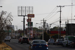 Matehuala - Pollo Pepe