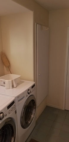 sycamore-project-before-02.jpg