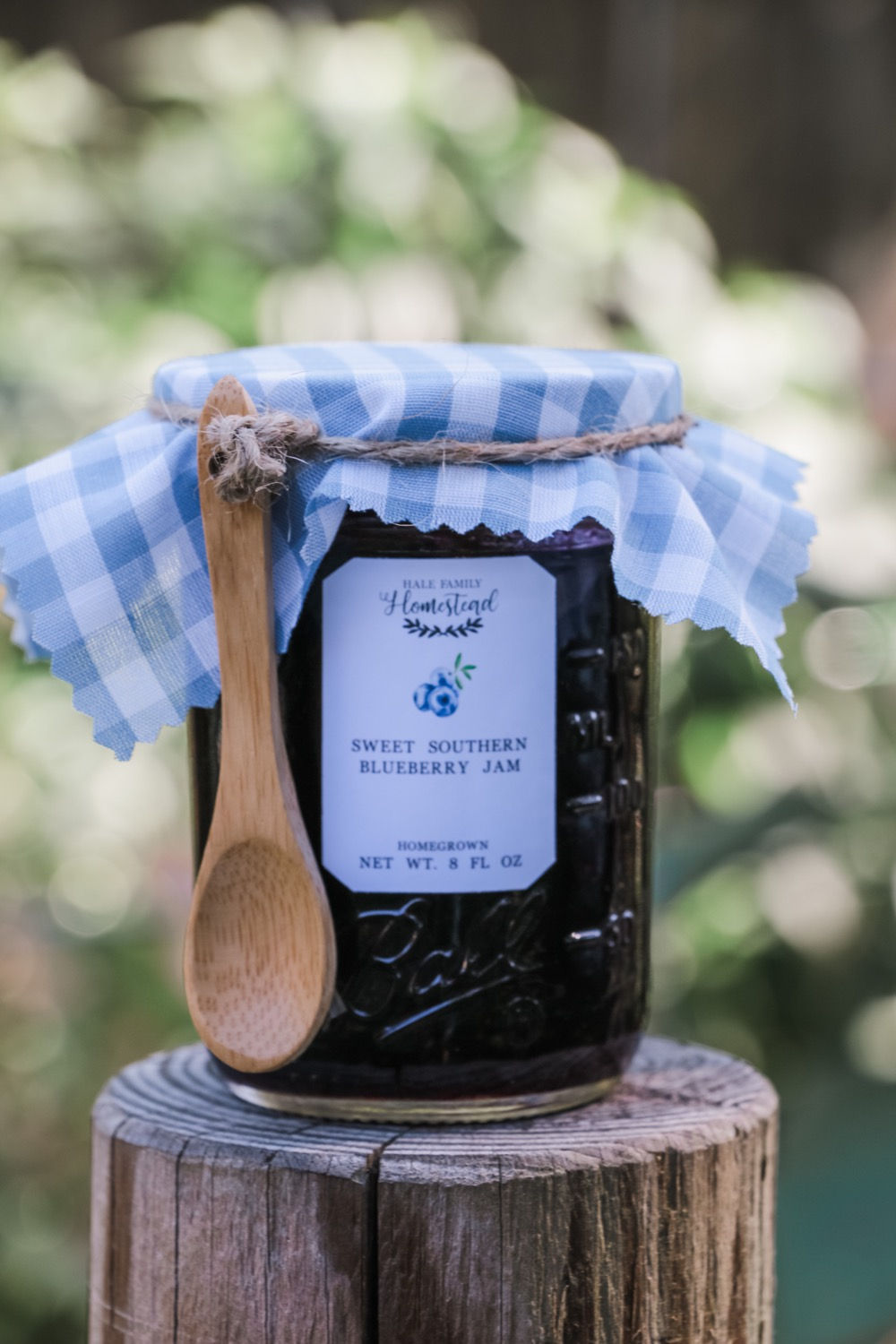 Sweet Southern Blueberry Jam