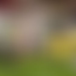 PROformance Football Training