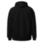 Limited Edition 250 USA Hoodie