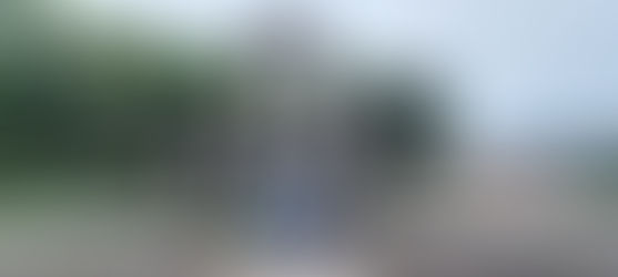 Funchal | Dia da peregrinação