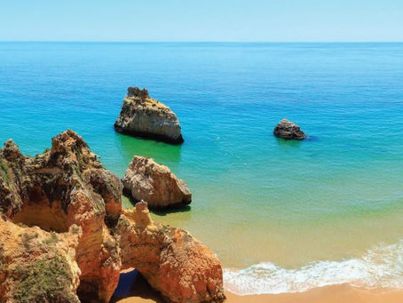 Flor do Carmelo | julho 2024