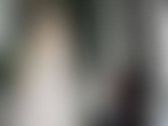 Flor do Carmelo | junho 2024