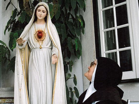 Flor do Carmelo | junho 2024