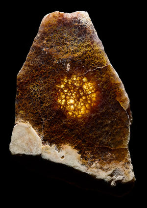 Enigmalite0146