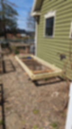 PXL_20230403_165924684