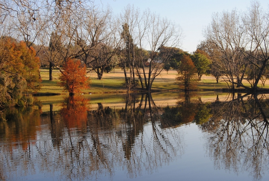 Winter gardening in Joburg