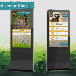 Ring Tailed Lemur Interactive Exhibit
