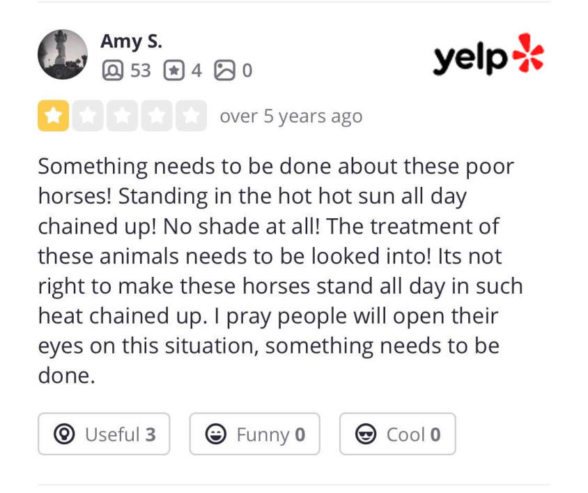 Yelp Reviews