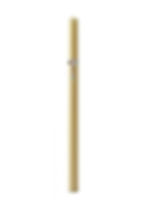 Paschal Candle with Transfer - PCTSF38