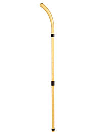 Bishops Crozier