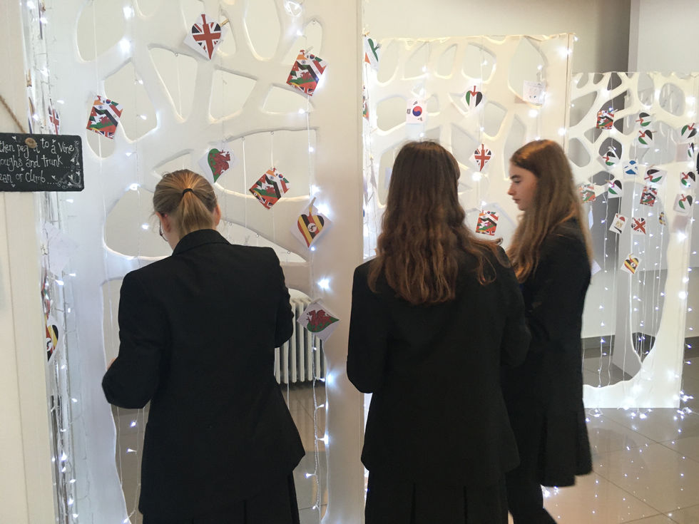 6A7E73C4-914F-450F-BFF6-F031145D2B63