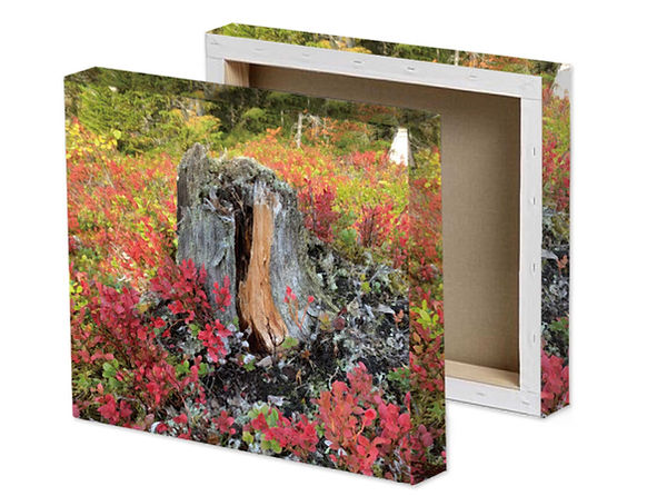 Produktbilder_Trycksaker_canvas.jpg