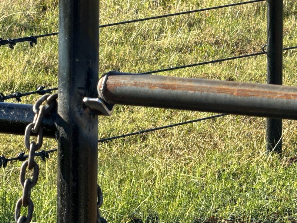 A close-up of a metal gate latch attached to a fence with a chain, set against a grassy field and barbed wire fencing—showcasing expert custom fabrication for secure entrances.